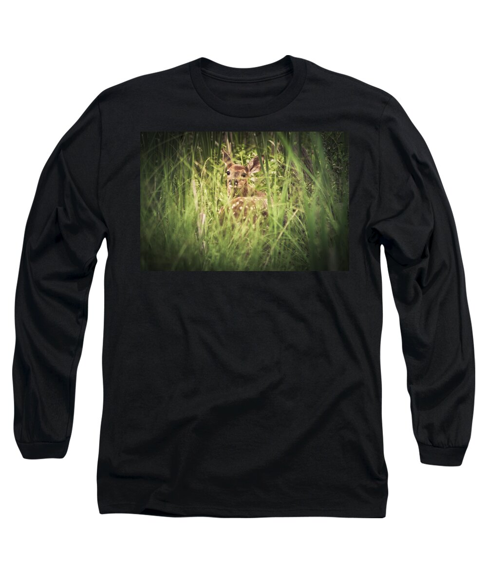 Deer Long Sleeve T-Shirt featuring the photograph In The Tall Grass by Shane Holsclaw