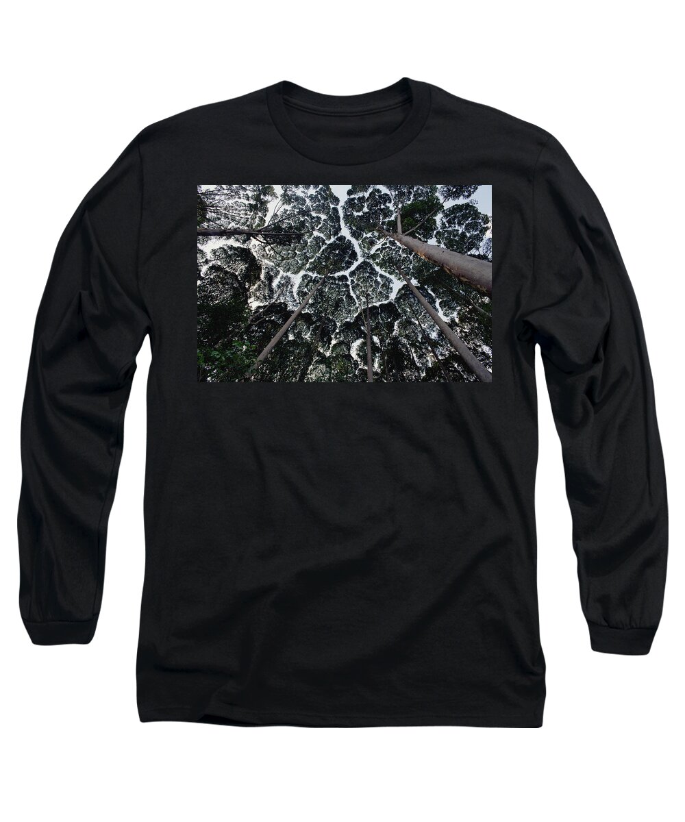 Feb0514 Long Sleeve T-Shirt featuring the photograph Kapur Trees Showing Crown Shyness by Mark Moffett