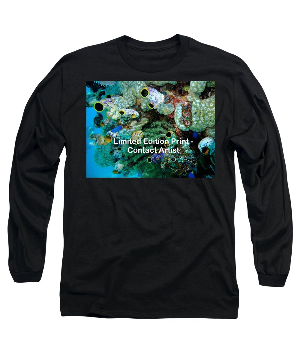 Indonesia Long Sleeve T-Shirt featuring the photograph Komodo Island 5 by David Beebe