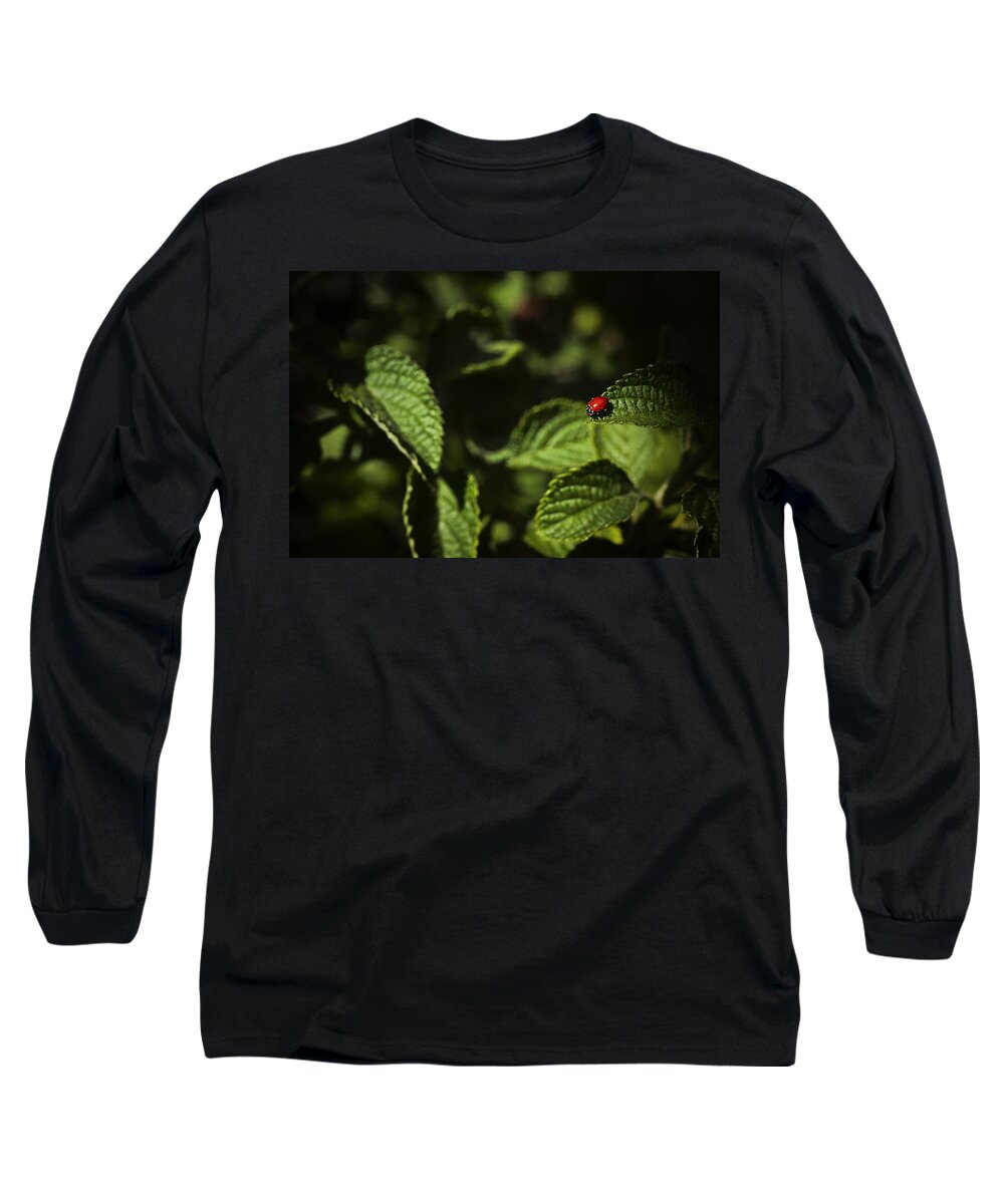 Florida Long Sleeve T-Shirt featuring the photograph Ladybug by Bradley R Youngberg