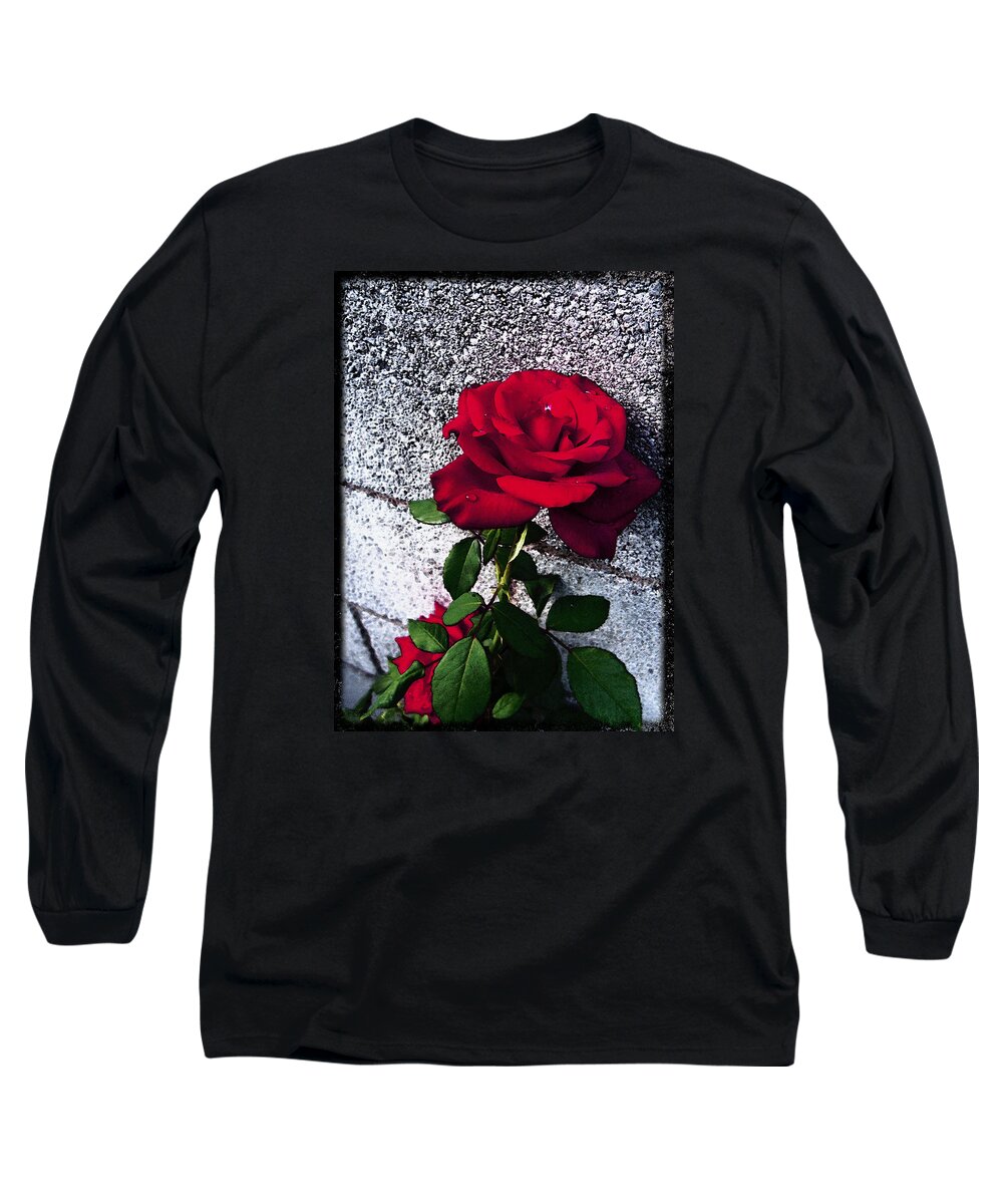 Red Rose Long Sleeve T-Shirt featuring the photograph Late Summer Rose by Shawna Rowe
