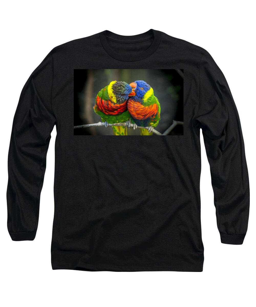 Rainbow Lorikeets Long Sleeve T-Shirt featuring the photograph Listen by Phil Abrams
