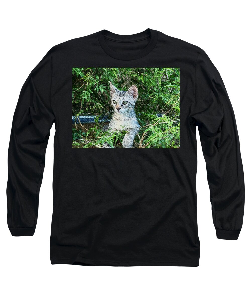 Kitten Long Sleeve T-Shirt featuring the photograph Little Kitten by Kathy Churchman
