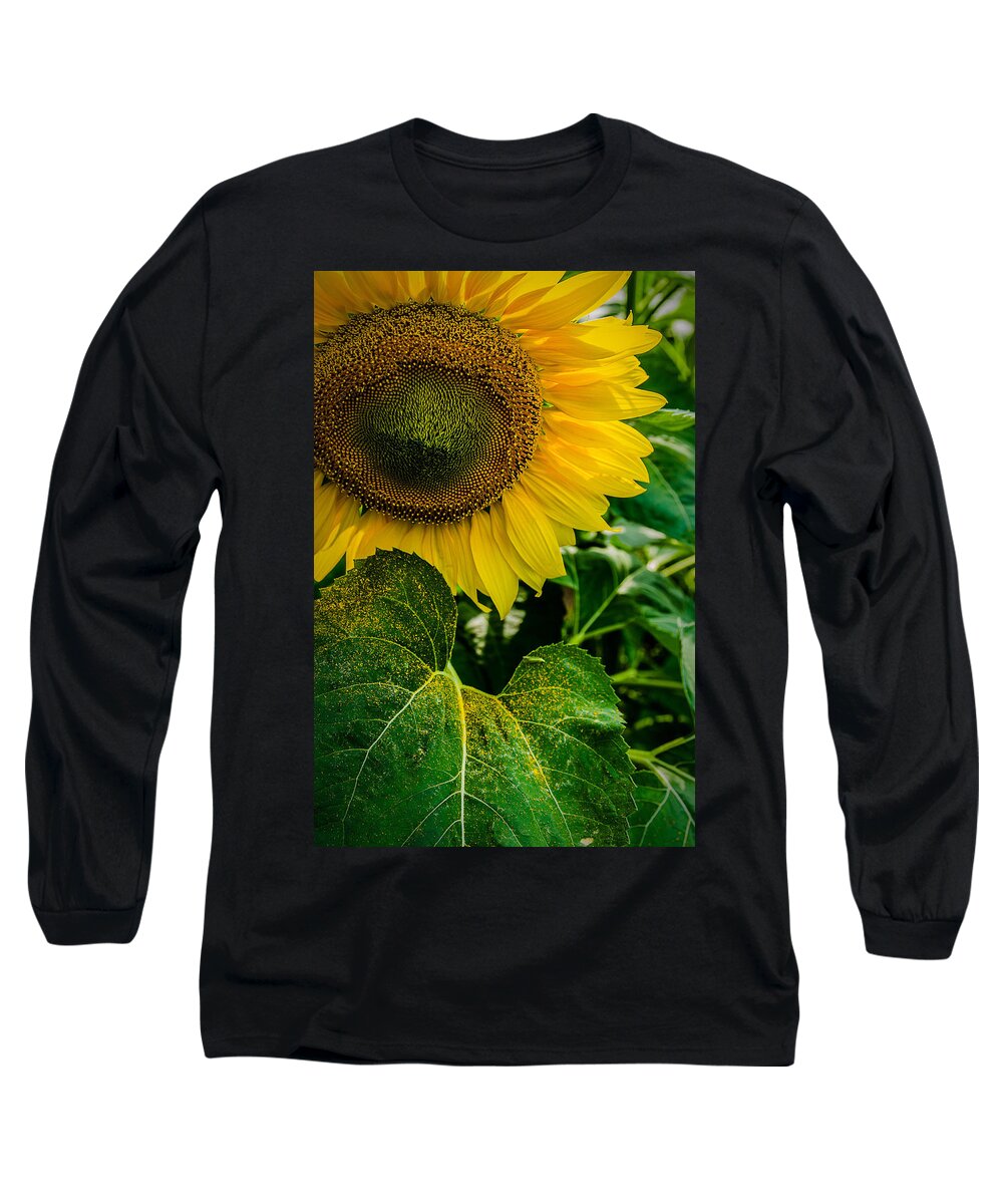 Sunflower Long Sleeve T-Shirt featuring the photograph Living Sunshine by Rick Bartrand