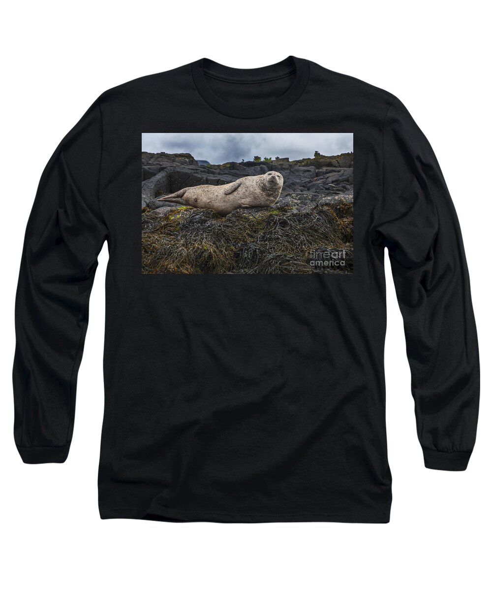 Harbor Long Sleeve T-Shirt featuring the photograph Look at Me by Diane Macdonald