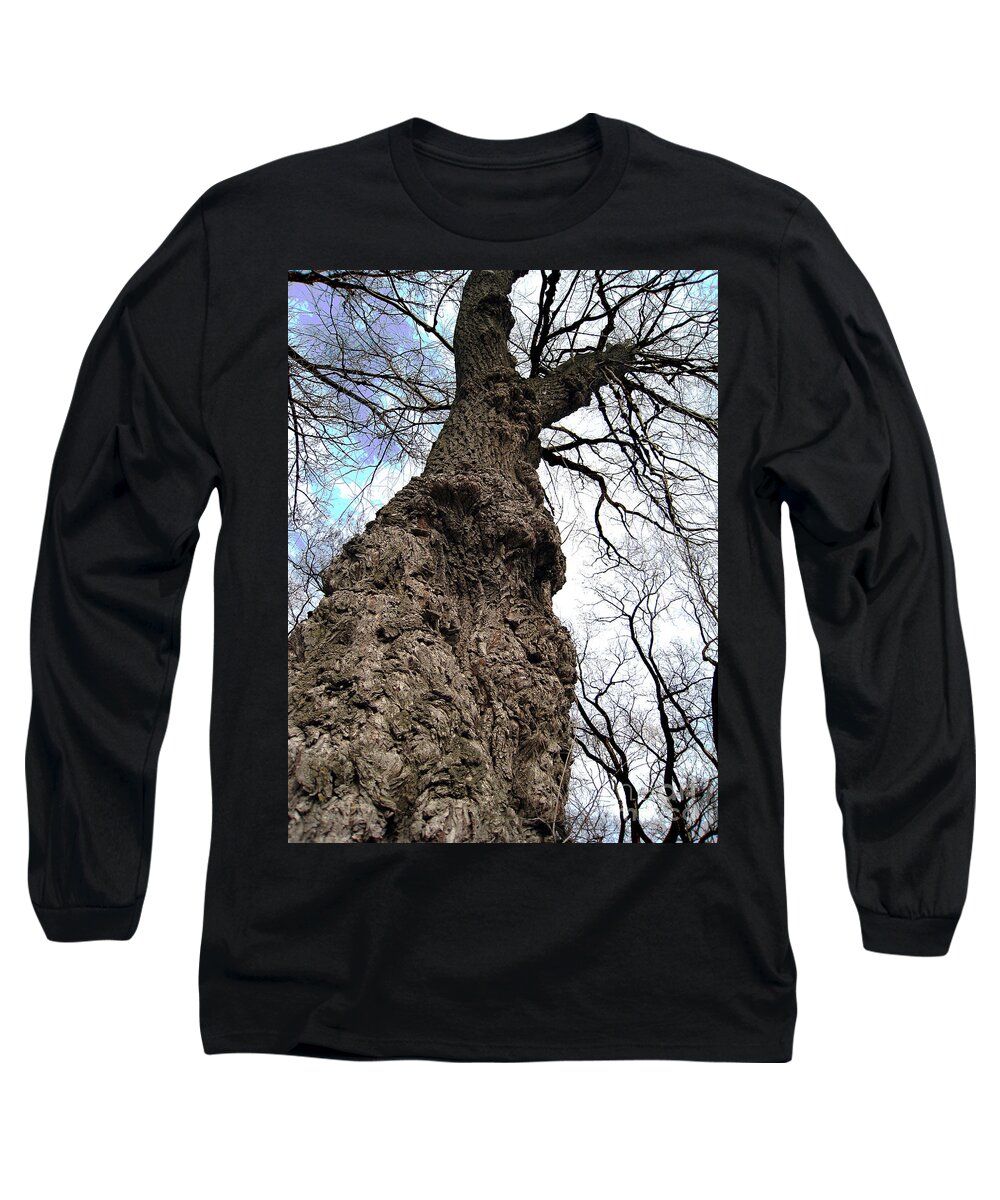 Trees Long Sleeve T-Shirt featuring the photograph Look Up Look Way Up by Nina Silver