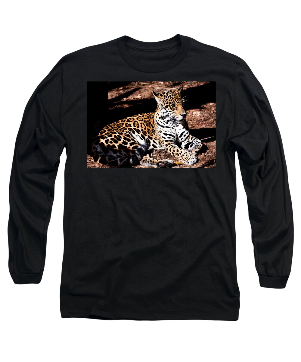 Portrait Long Sleeve T-Shirt featuring the photograph Looks Are Deceiving by Penny Lisowski