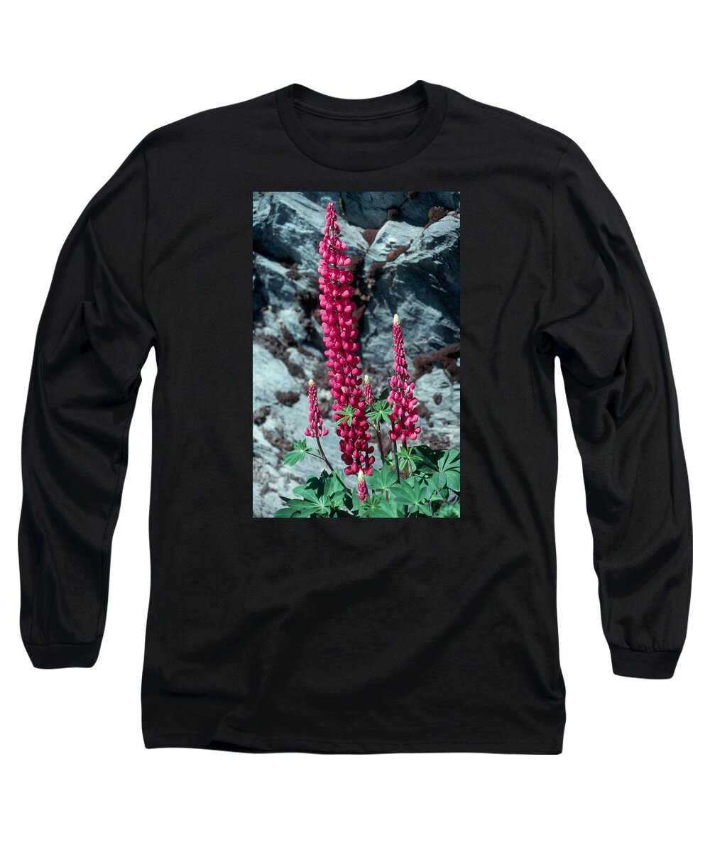 Flower Long Sleeve T-Shirt featuring the photograph Lupine 1 by Andy Shomock