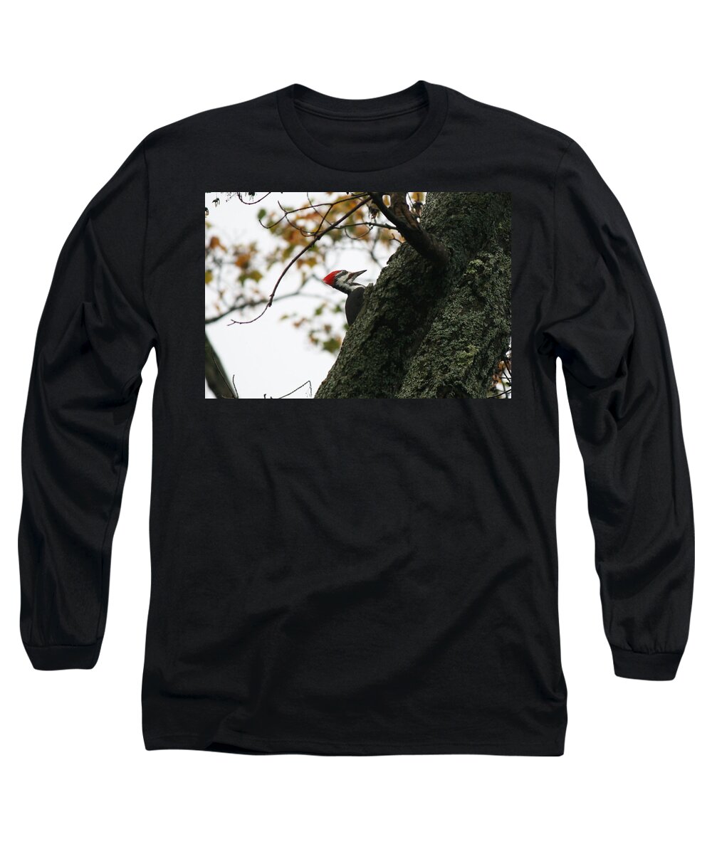 Bird Long Sleeve T-Shirt featuring the photograph Lyndonville Pileated Woodpecker by Neal Eslinger