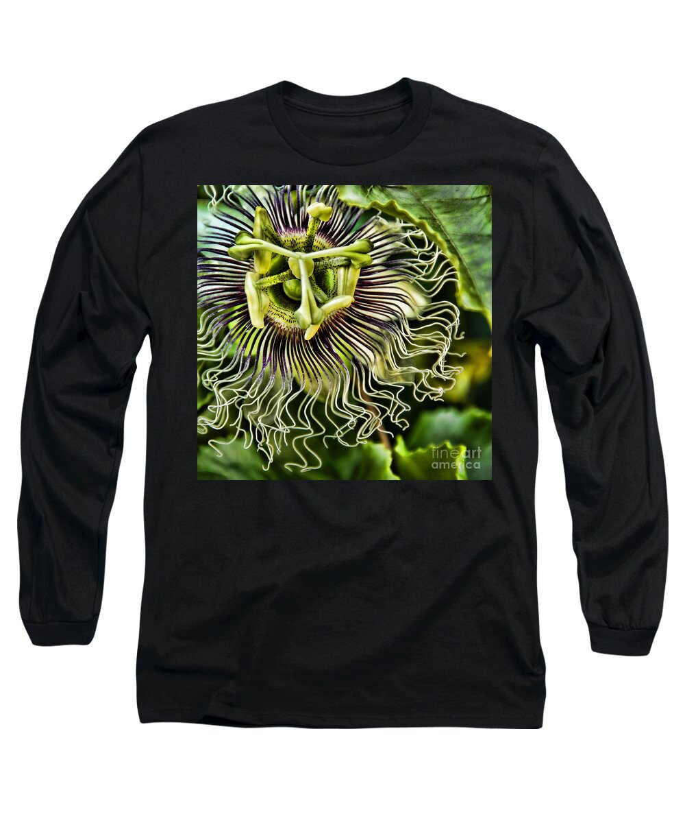 Painterly Long Sleeve T-Shirt featuring the photograph Mad Passion by Peggy Hughes