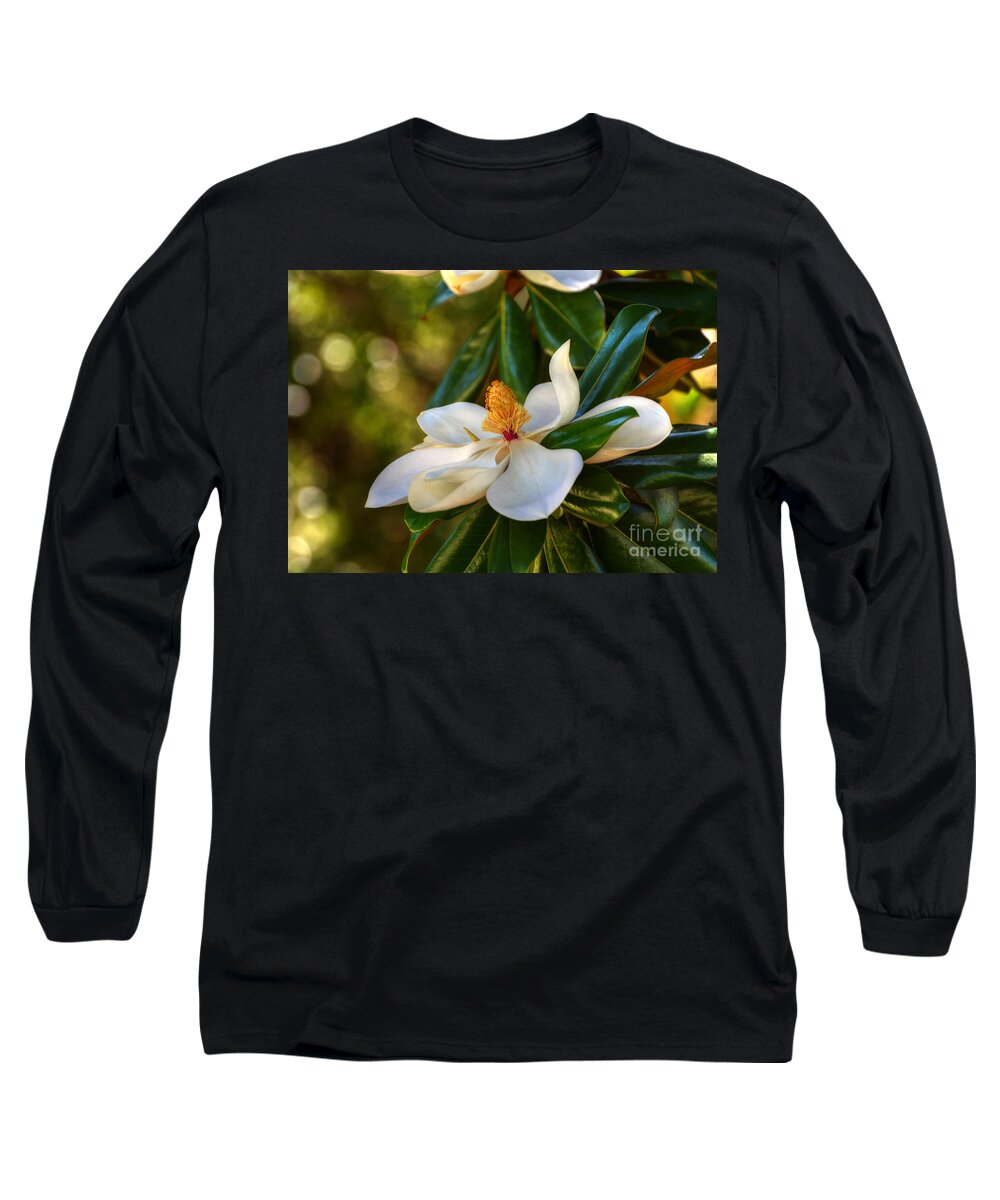 Flower Long Sleeve T-Shirt featuring the photograph Magnolia Blossom by Kathy Baccari