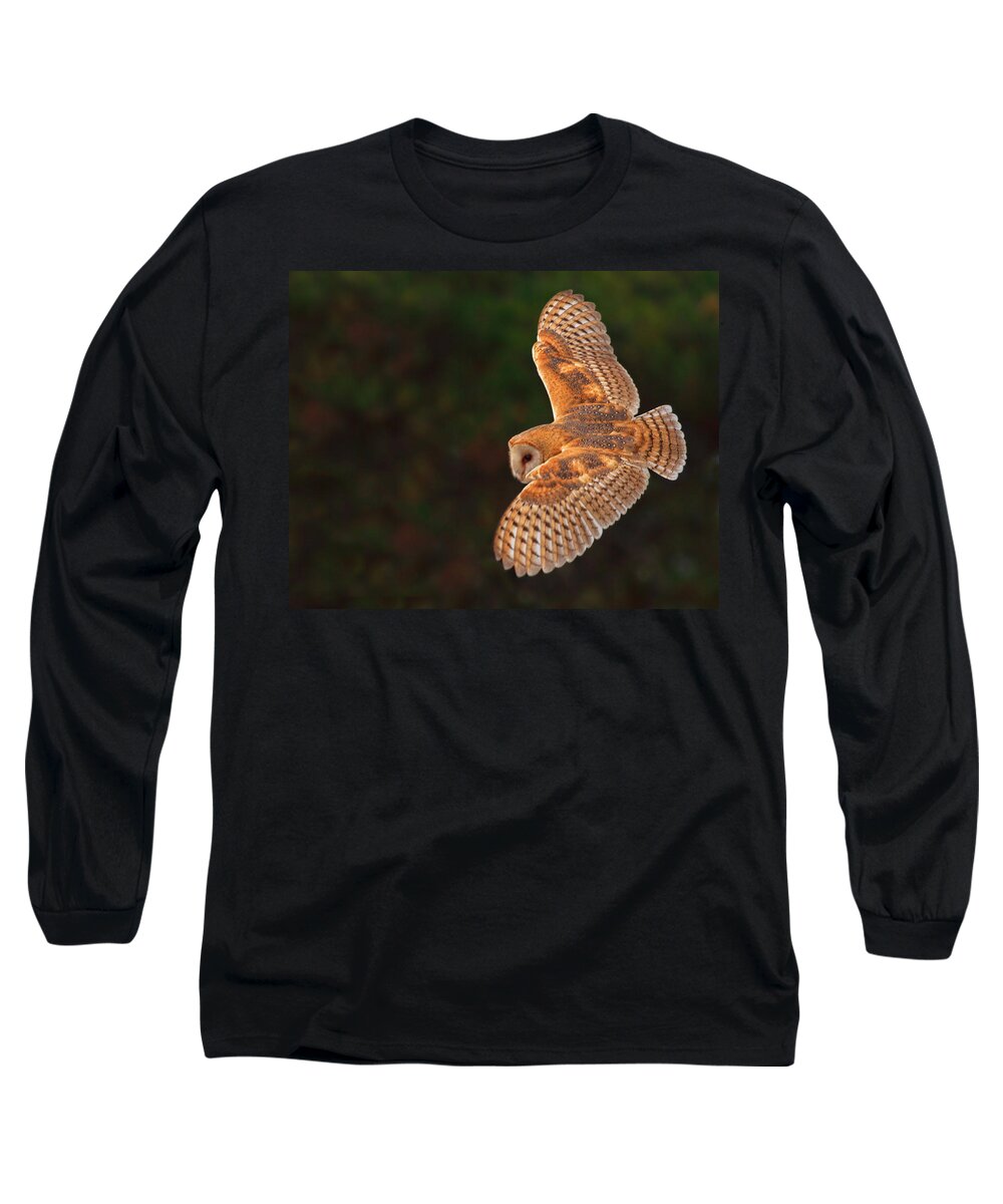 Barn Owl Long Sleeve T-Shirt featuring the photograph Majestic Flight by Beth Sargent