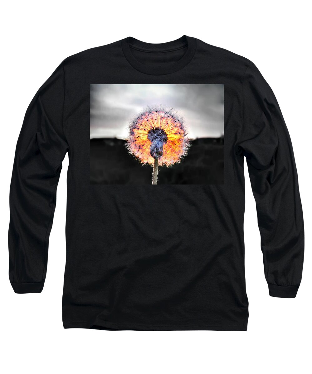 Make A Wish Long Sleeve T-Shirt featuring the photograph Make a Wish by Marianna Mills