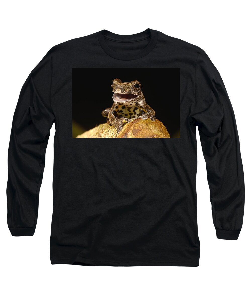 Feb0514 Long Sleeve T-Shirt featuring the photograph Marbled Tree Frog Amazonia Ecuador by Pete Oxford