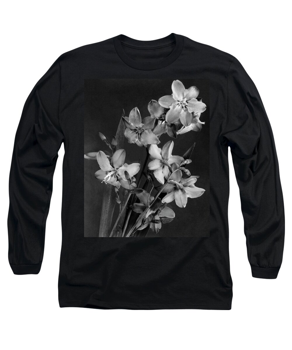 Flowers Long Sleeve T-Shirt featuring the photograph Montbretia Blossoms by J. Horace McFarland