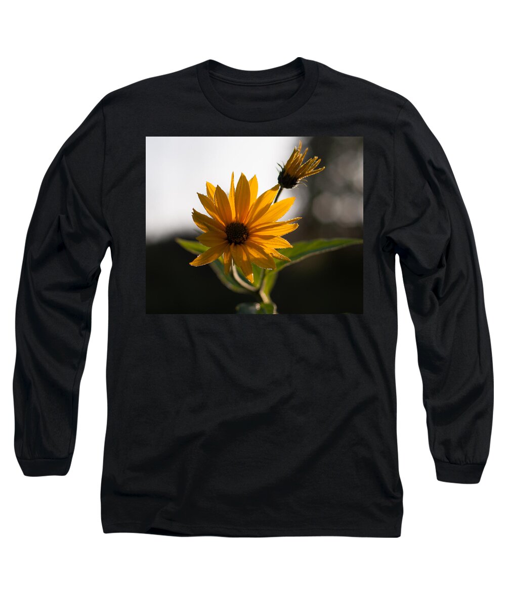 Flowers Long Sleeve T-Shirt featuring the photograph Morning Sunshine by Miguel Winterpacht