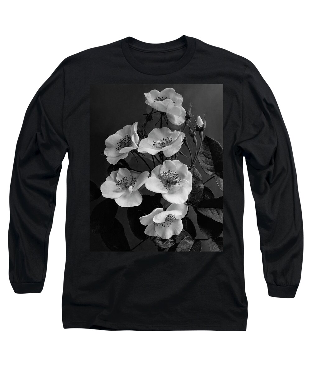 Flowers Long Sleeve T-Shirt featuring the photograph Moschata Alba by J. Horace McFarland
