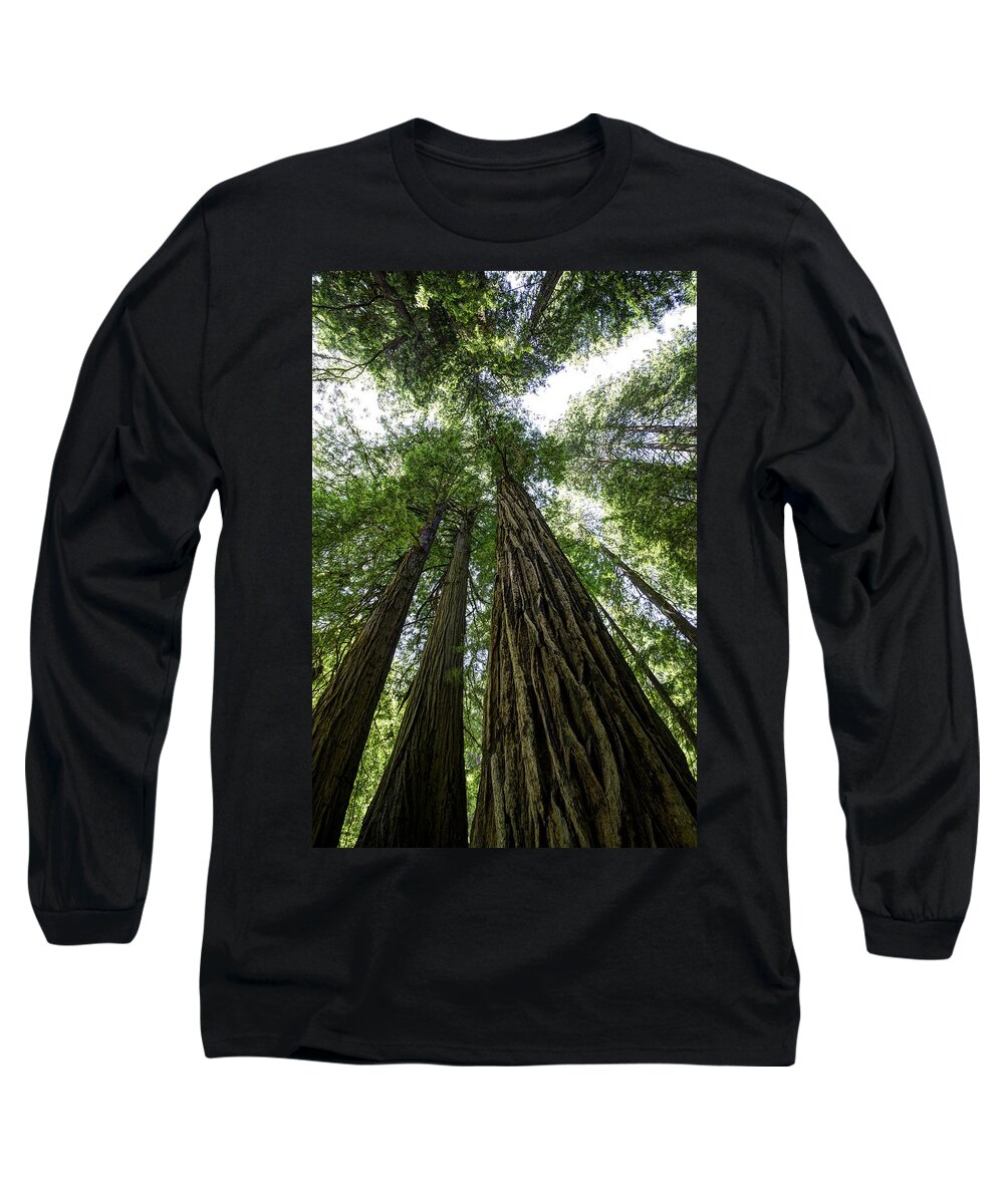 Muir Woods Long Sleeve T-Shirt featuring the photograph Muir Woods I by Mark Harrington