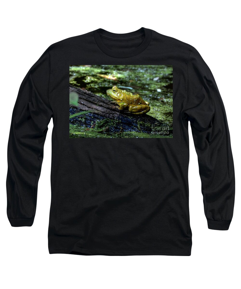 Frog Long Sleeve T-Shirt featuring the photograph My Handsome Prince by Kathy Baccari