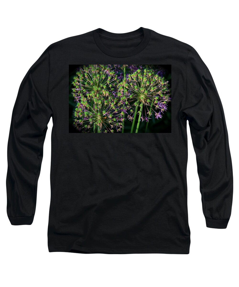 Allium Long Sleeve T-Shirt featuring the photograph Natures Fireworks by Ed Riche