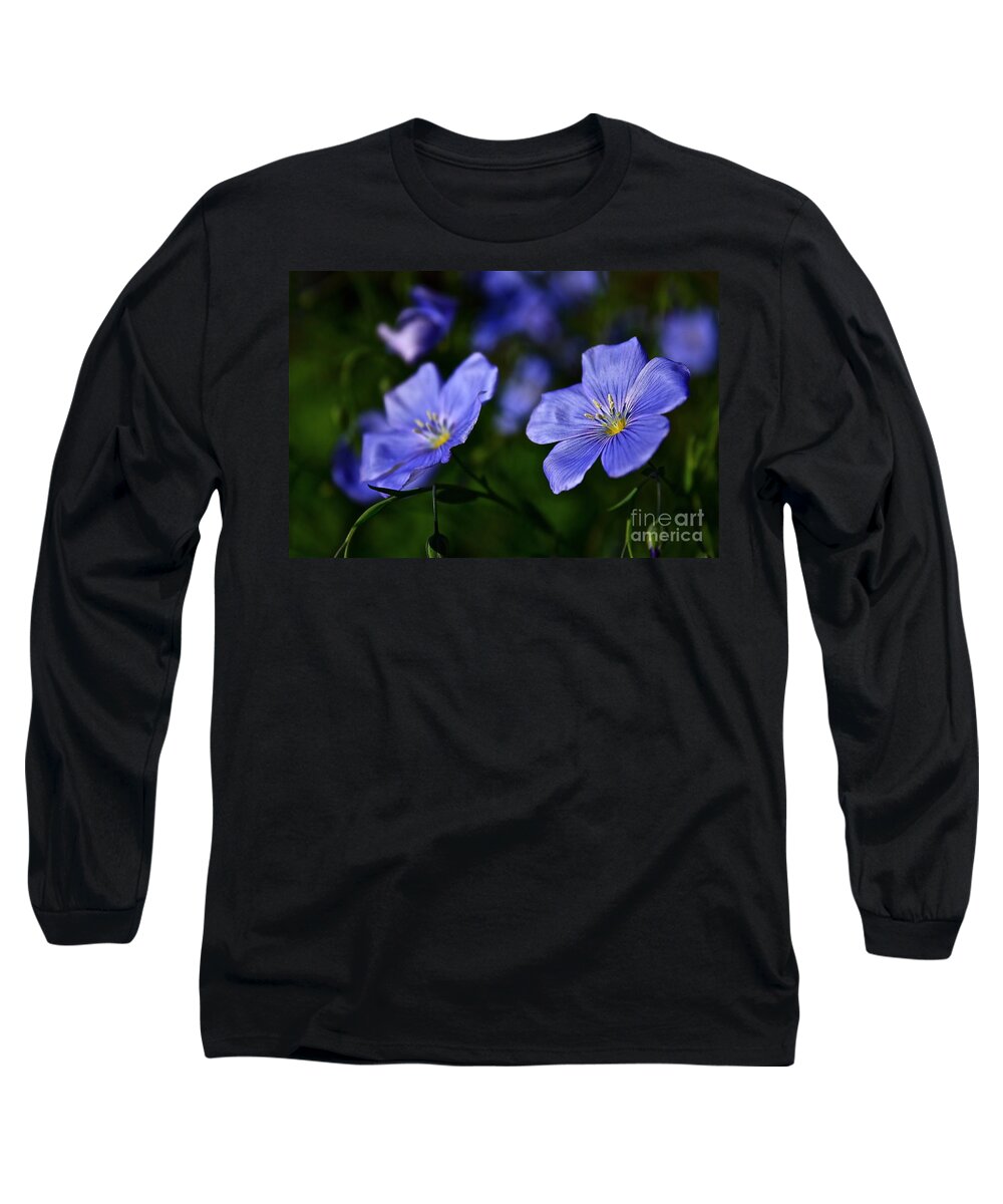 Flowers Long Sleeve T-Shirt featuring the photograph Night Garden by Linda Bianic