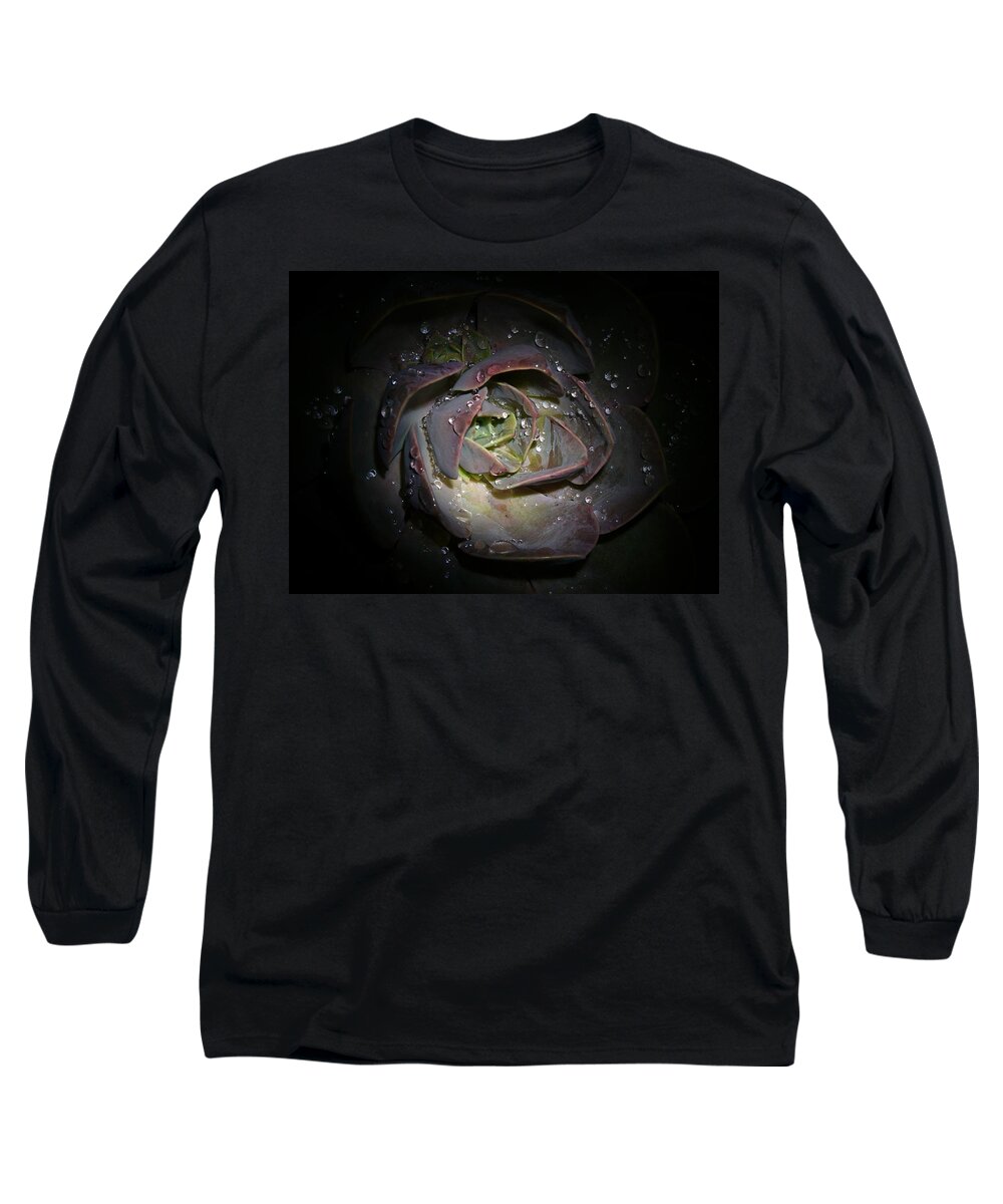 Succulent Long Sleeve T-Shirt featuring the photograph Nocturnal Diamonds by Evelyn Tambour