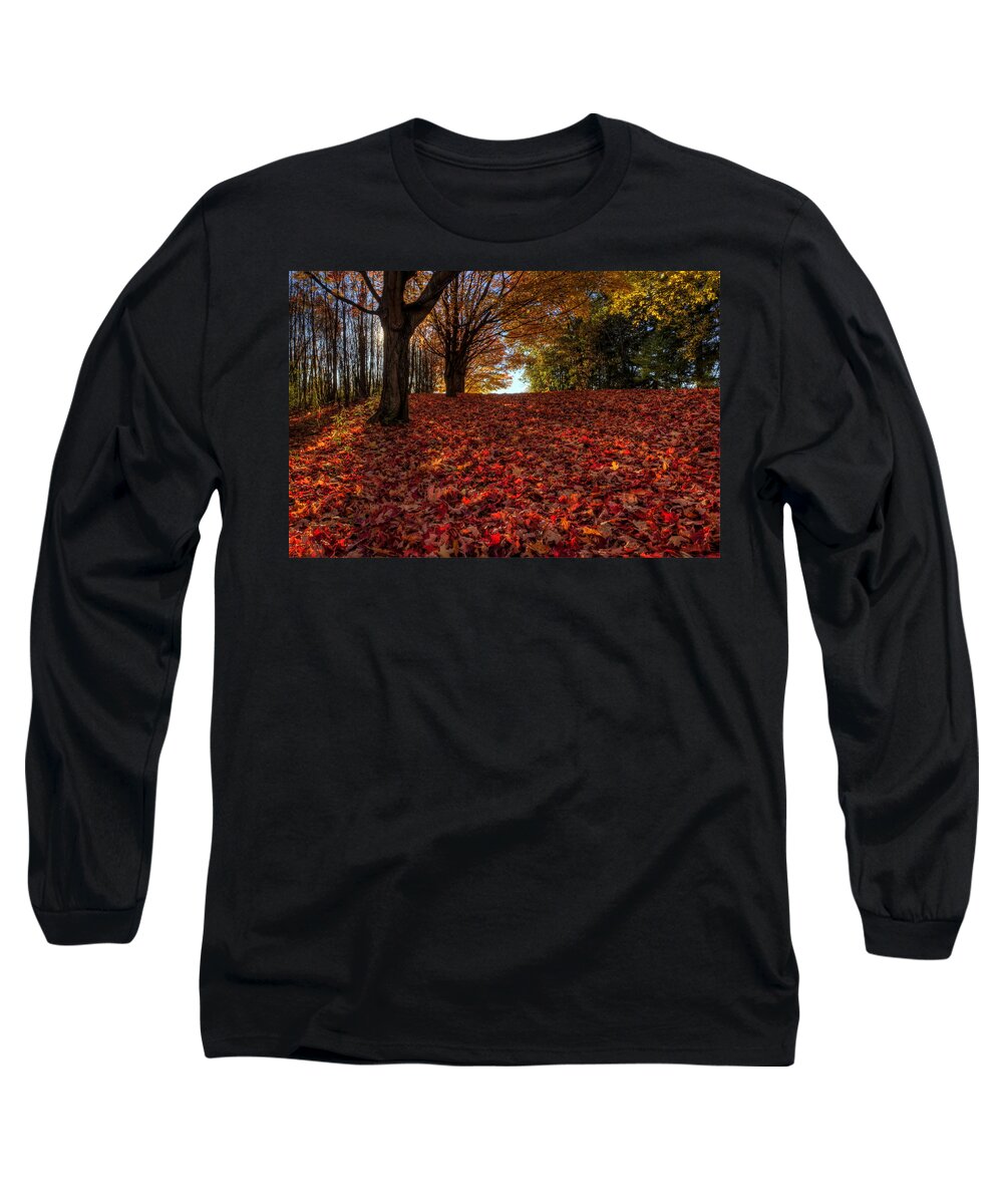 Fall Foliage Long Sleeve T-Shirt featuring the photograph Ohio Fall Scenery by David Dufresne