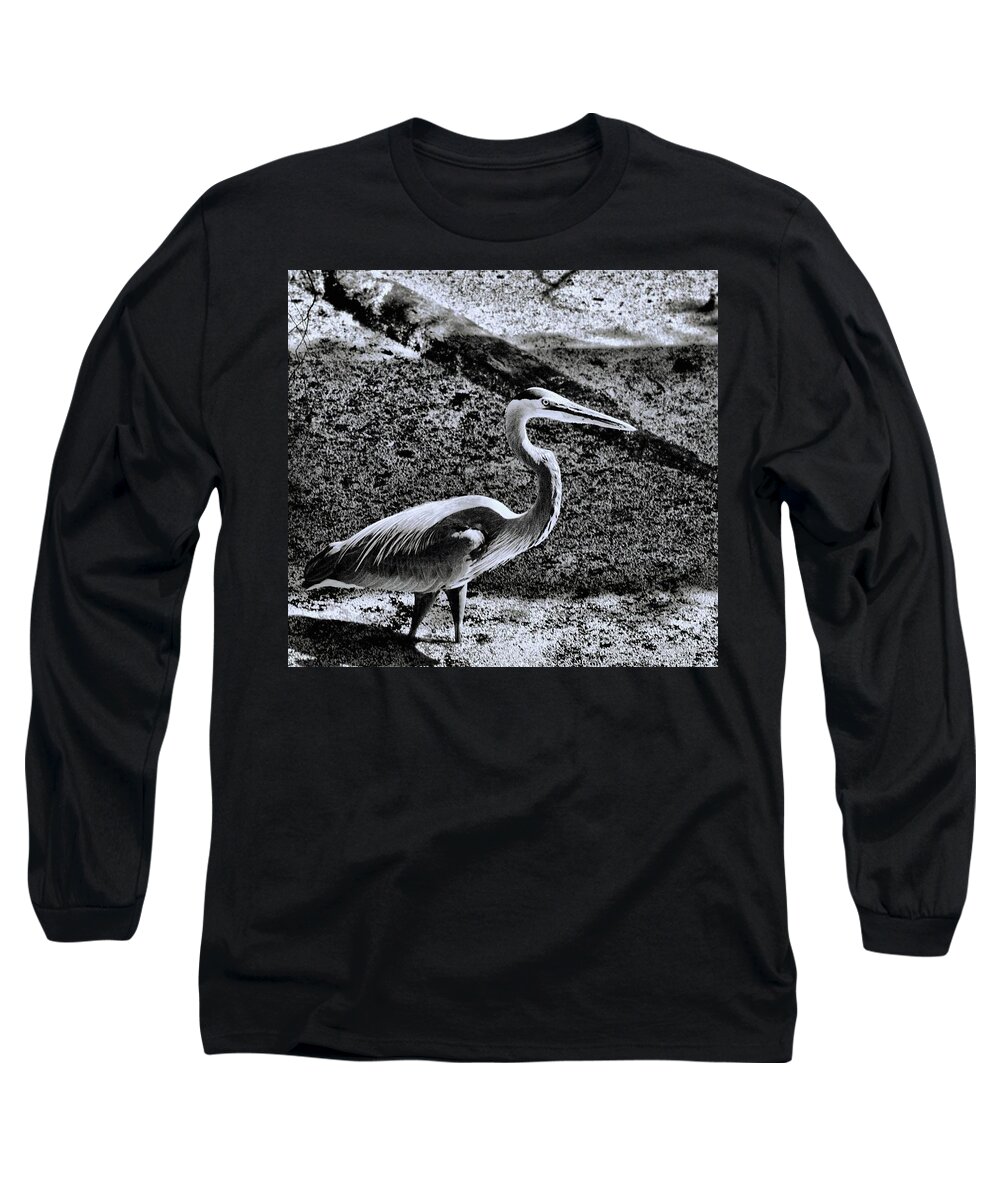 Animals Long Sleeve T-Shirt featuring the photograph On Patrol by Robert McCubbin