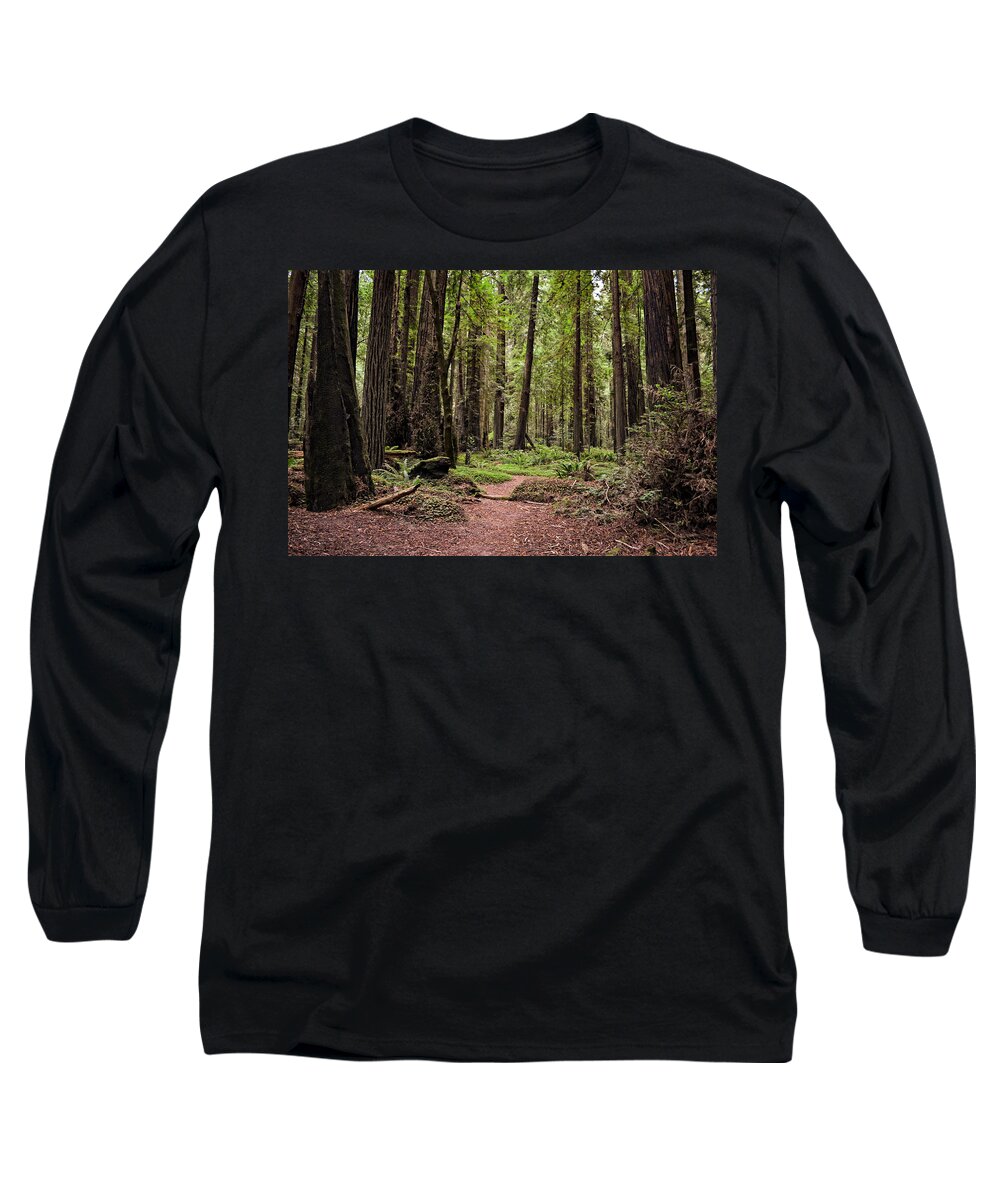 Majestic Long Sleeve T-Shirt featuring the photograph On the Enchanted Path by Michelle Calkins