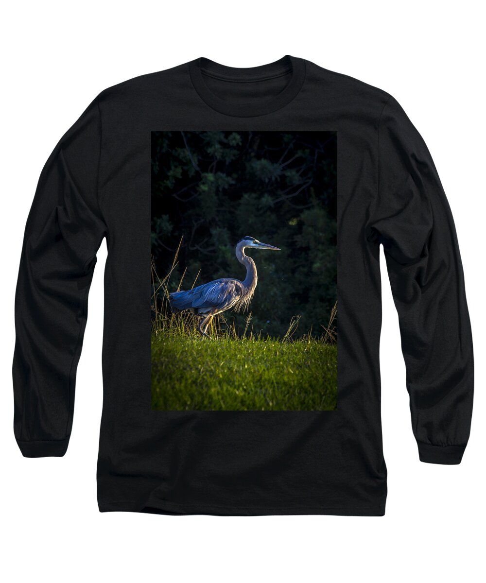 Lakeland Long Sleeve T-Shirt featuring the photograph On The March by Marvin Spates