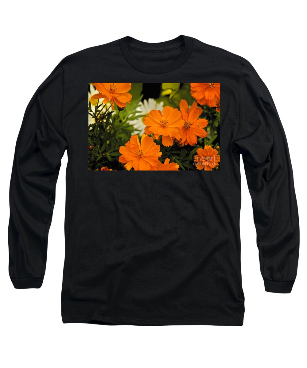 Orange Long Sleeve T-Shirt featuring the photograph Orange Flowers by William Norton