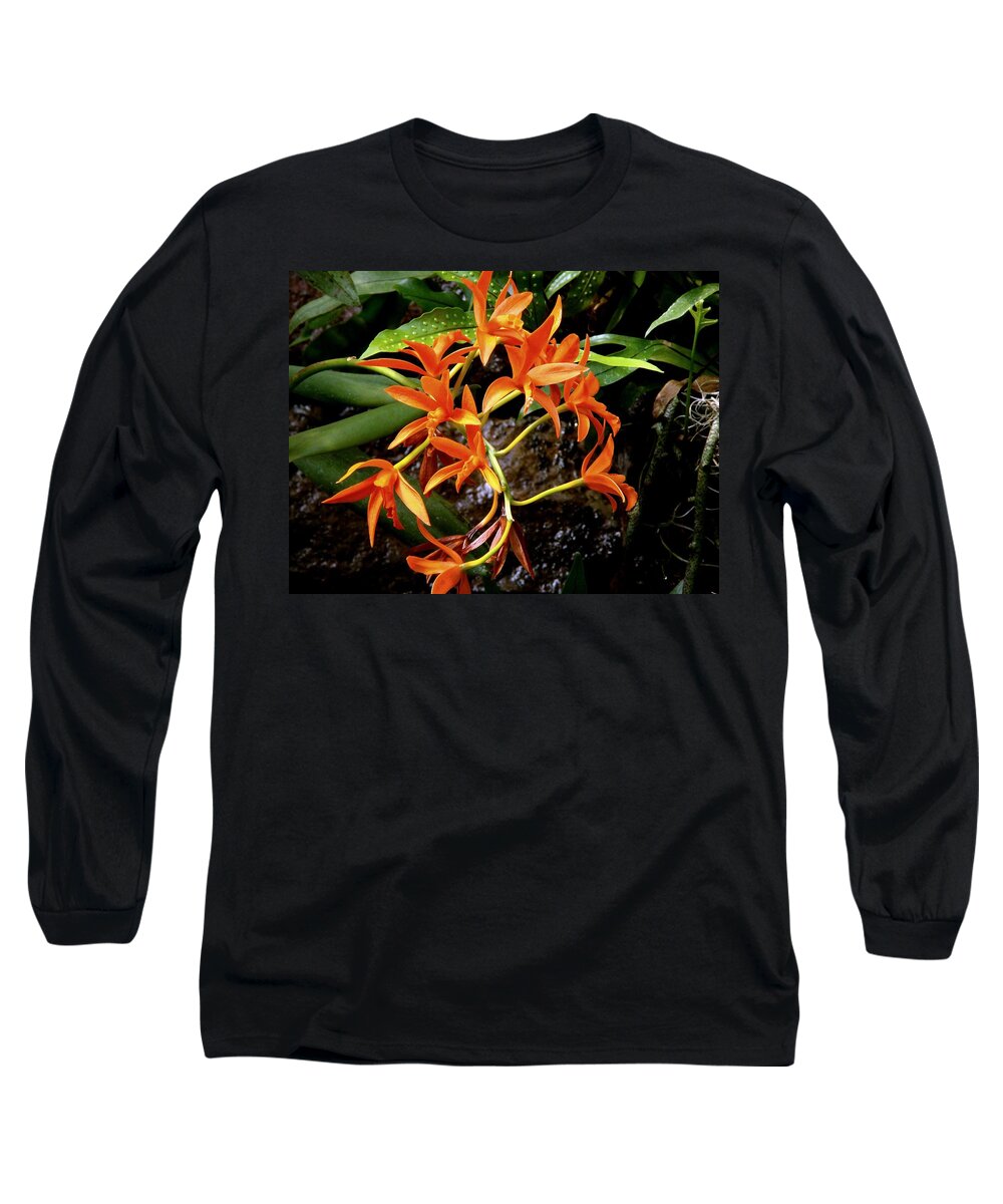 Fine Art Long Sleeve T-Shirt featuring the photograph Orange Tendrils by Rodney Lee Williams