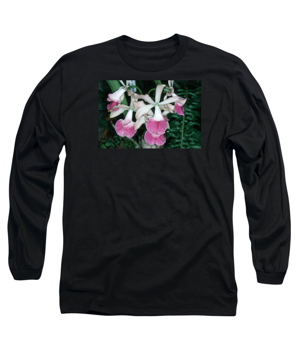 Flower Long Sleeve T-Shirt featuring the photograph Orchid 17 by Andy Shomock