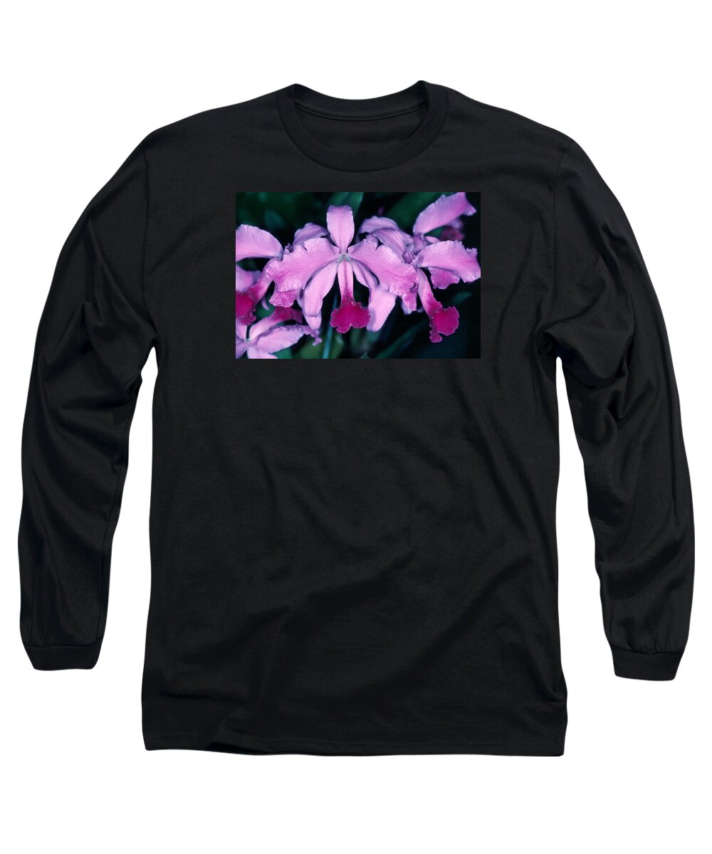 Flower Long Sleeve T-Shirt featuring the photograph Orchid 6 by Andy Shomock