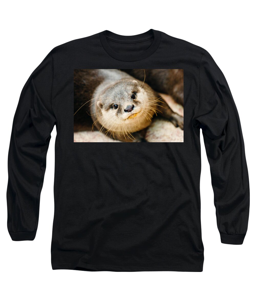 Otter Long Sleeve T-Shirt featuring the photograph Otter Closeup by Pati Photography