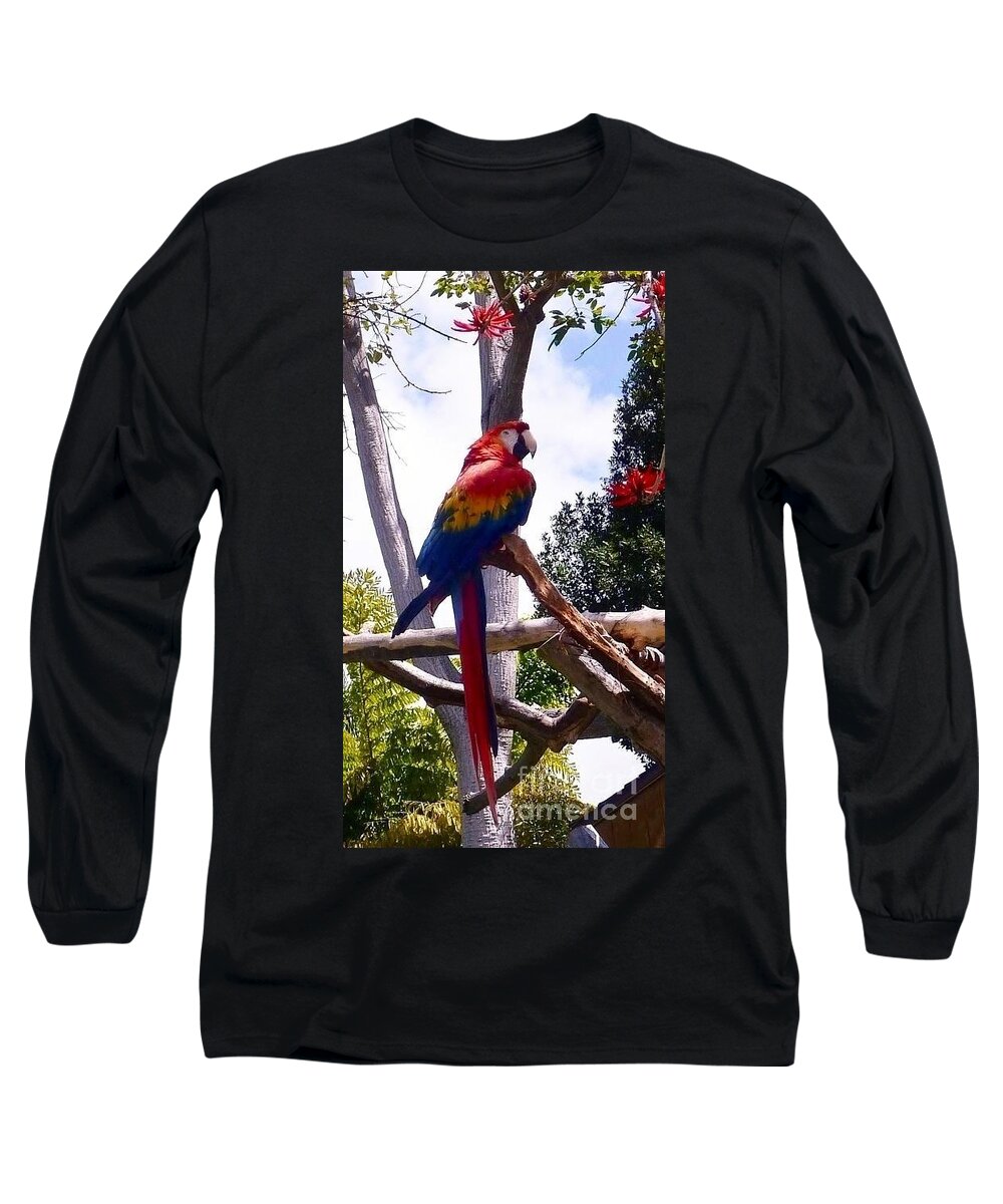 Birds Long Sleeve T-Shirt featuring the photograph Parrot by Susan Garren