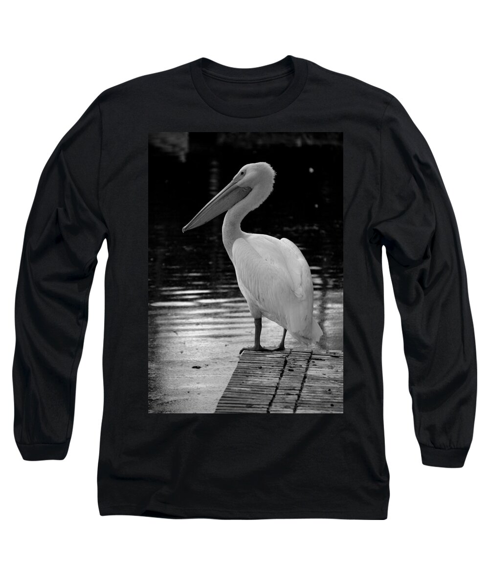 White Pelicans Long Sleeve T-Shirt featuring the photograph Pelican in the Dark by Laurie Perry