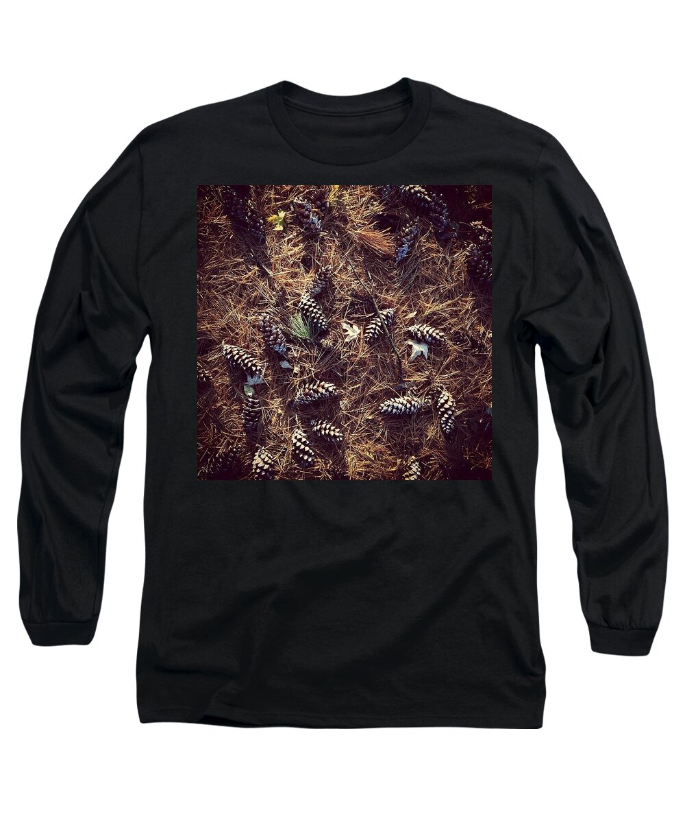 Patterns Long Sleeve T-Shirt featuring the photograph Pine Cones and Patterns by Frank J Casella
