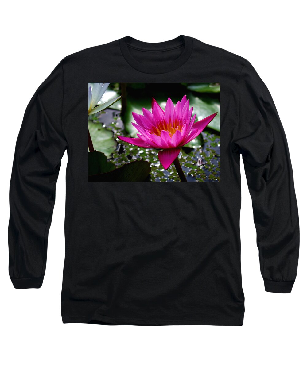 Waterlily Long Sleeve T-Shirt featuring the photograph Pink Lily #1 by Mike Kling