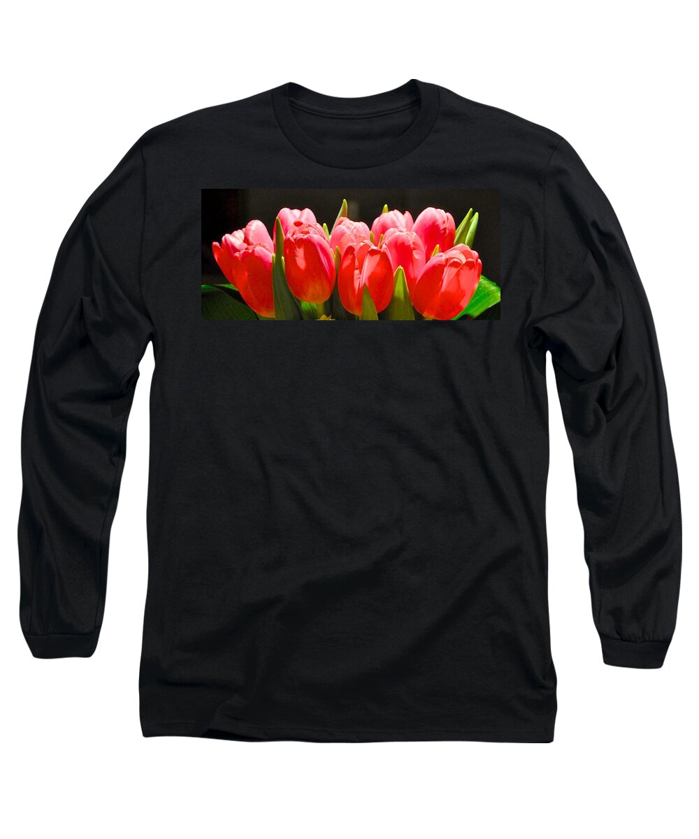 Tulips Long Sleeve T-Shirt featuring the photograph Pink Tulips in a Row by Kristina Deane