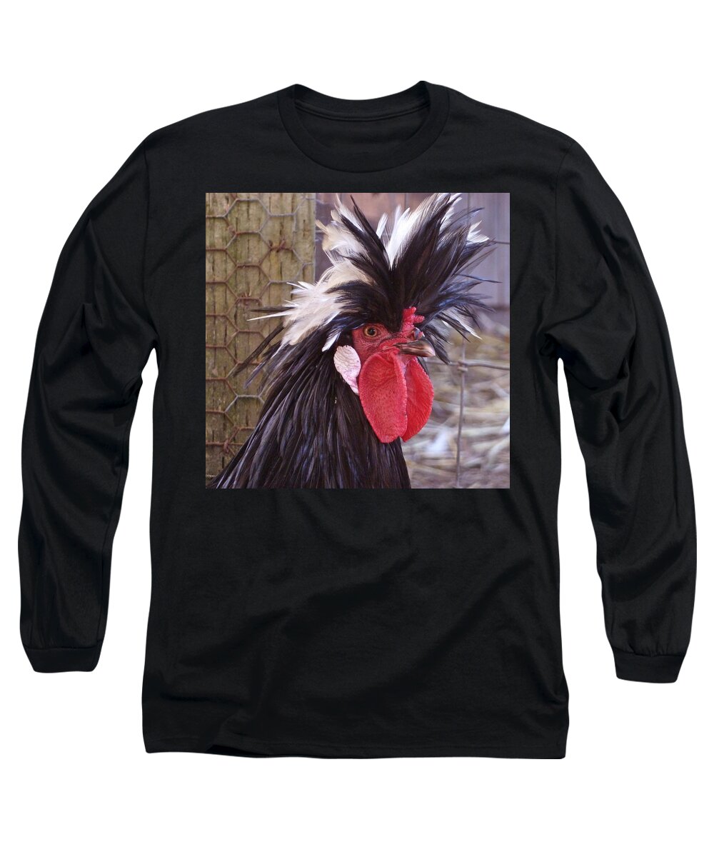 Polish Rooster Long Sleeve T-Shirt featuring the photograph Polish rooster by K L Kingston