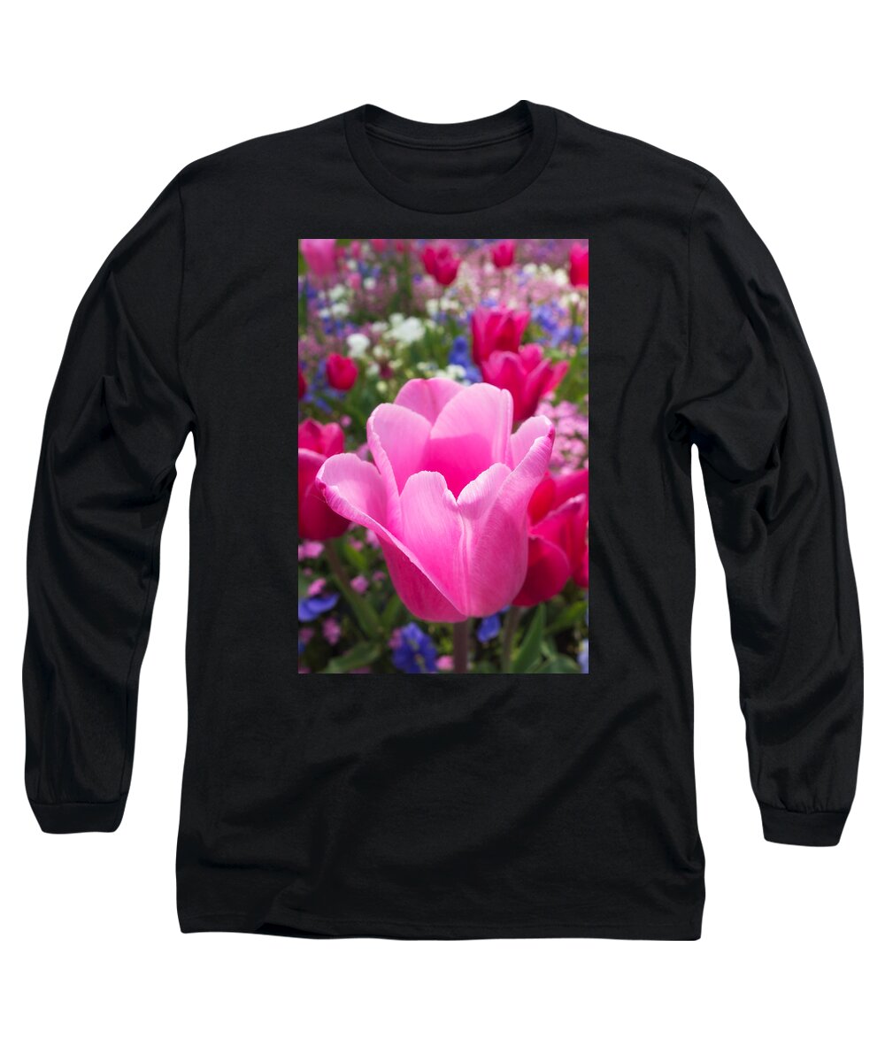 Tulip Long Sleeve T-Shirt featuring the photograph Pretty pink tulip and field with flowers and tulips by Matthias Hauser