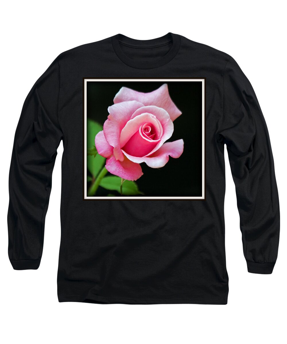 Rose Long Sleeve T-Shirt featuring the photograph Queen Elizabeth Rose by Farol Tomson
