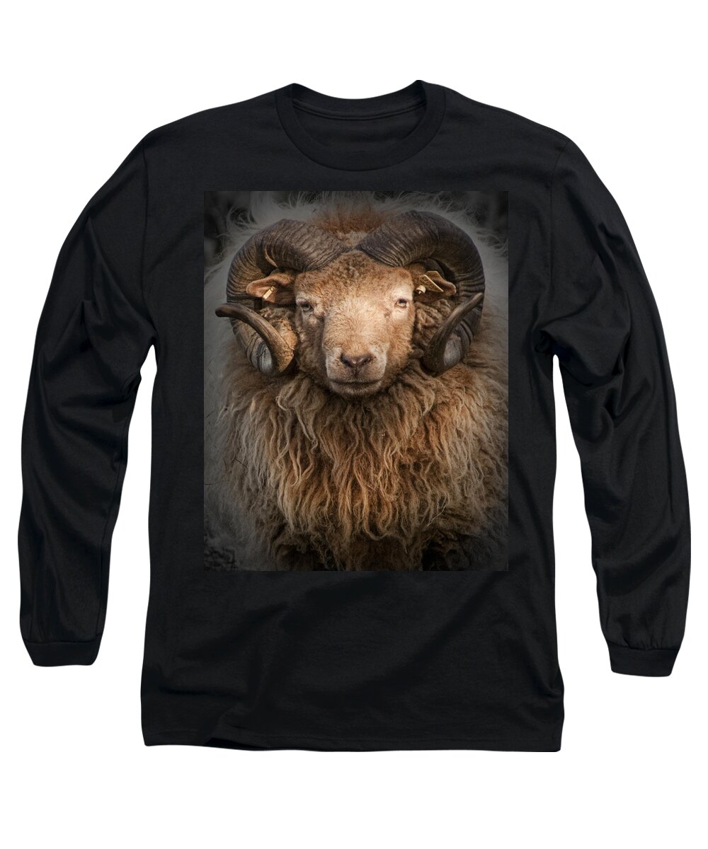 Art Long Sleeve T-Shirt featuring the photograph Ram Portrait by Randall Nyhof