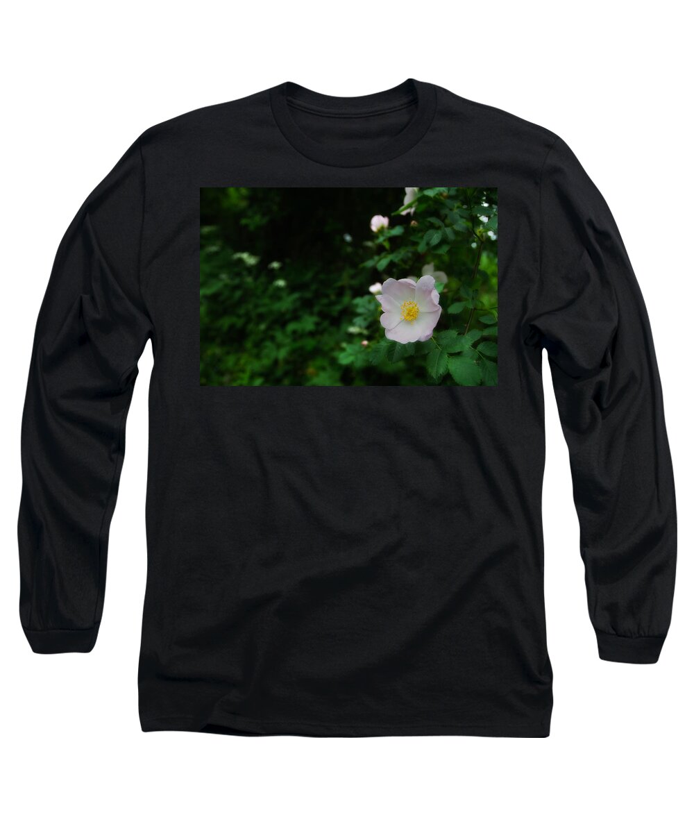 Europe Long Sleeve T-Shirt featuring the photograph Ranunculus by Roberto Pagani