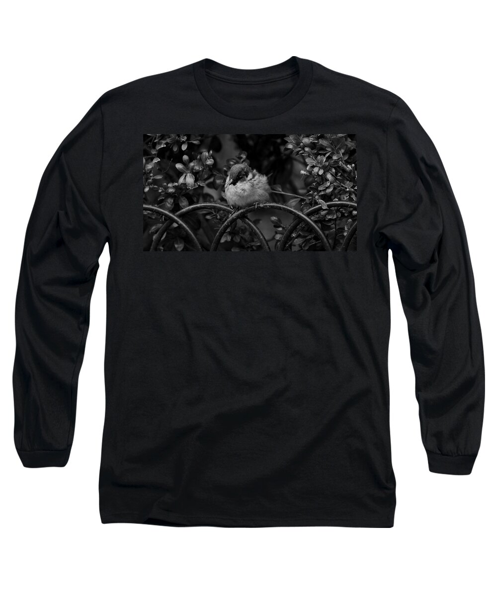 Bird Long Sleeve T-Shirt featuring the photograph Rest for the Weary by Paul Watkins