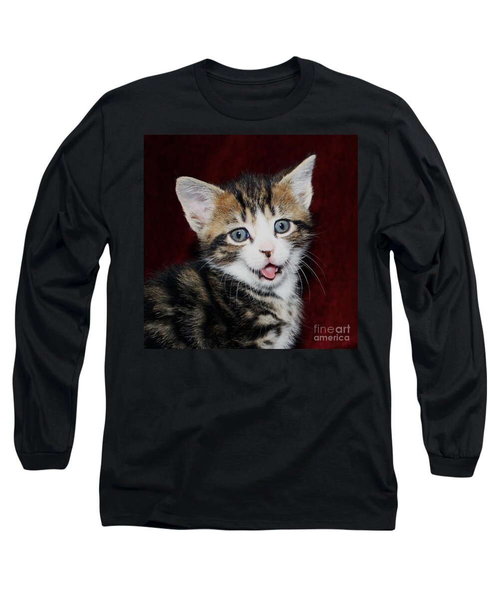 Naughty Kitten Long Sleeve T-Shirt featuring the photograph Rude Kitten by Terri Waters