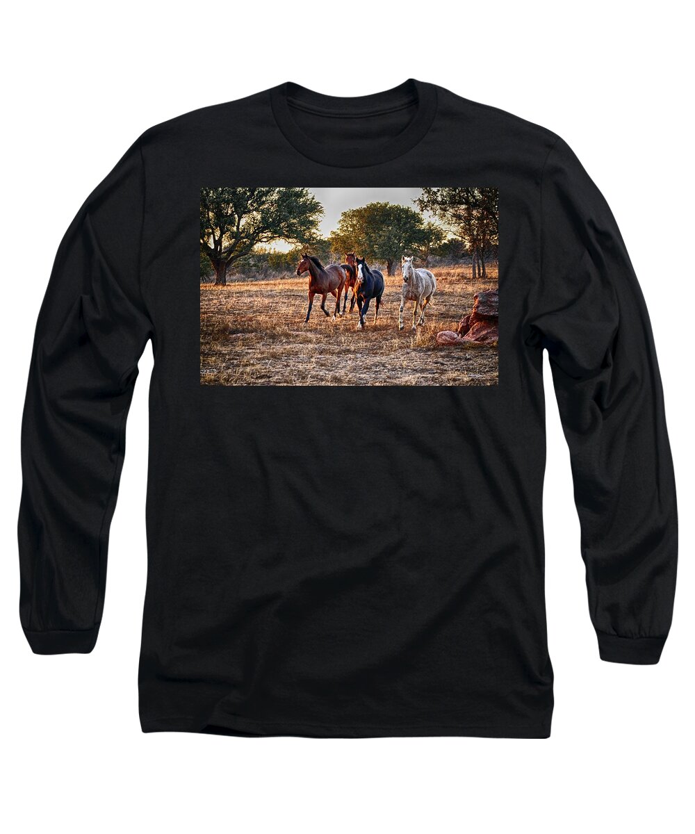 Texas Decor Long Sleeve T-Shirt featuring the pyrography Running Horses by Kristina Deane