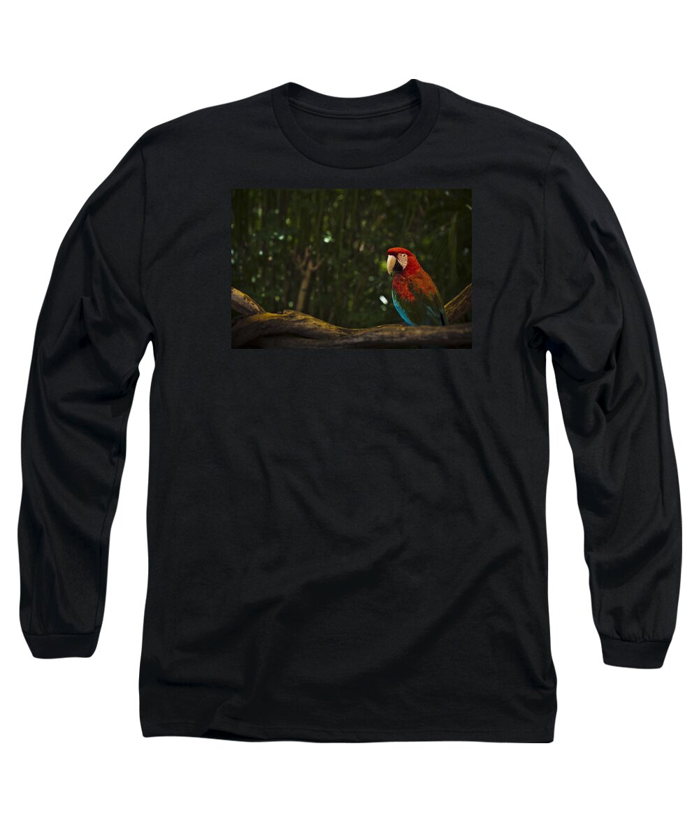 Scarlet Long Sleeve T-Shirt featuring the photograph Scarlet Macaw Profile by Bradley R Youngberg