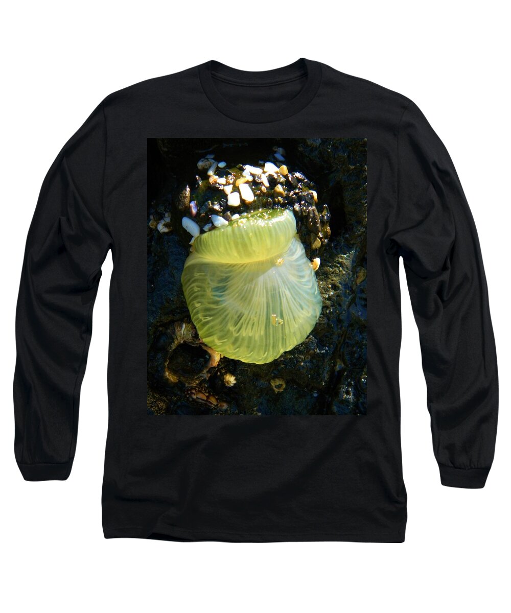Ocean Life Long Sleeve T-Shirt featuring the photograph Sea Anemone with Beautiful Jelly by Gallery Of Hope 